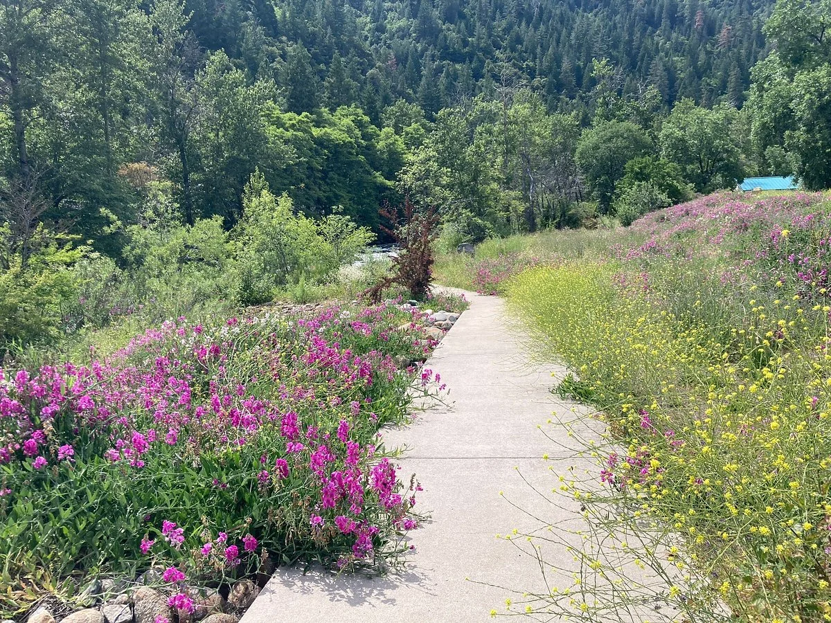 Tauhindauli Park