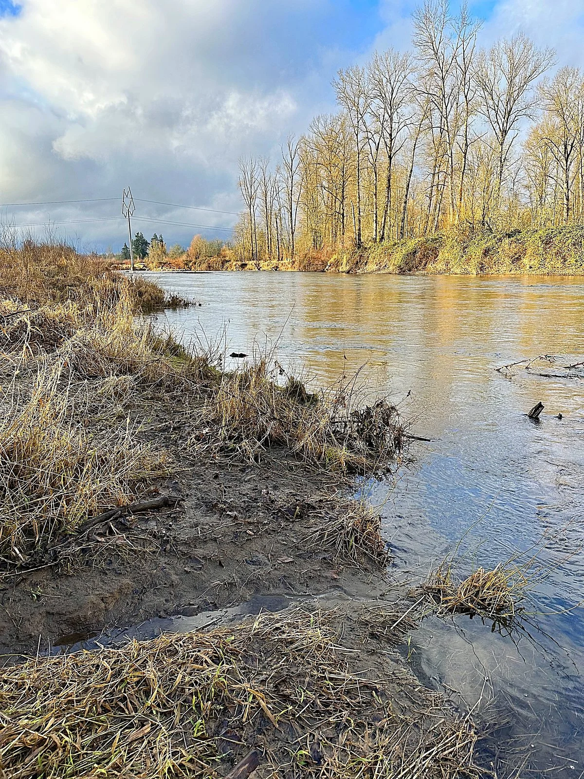 Molalla River State Park