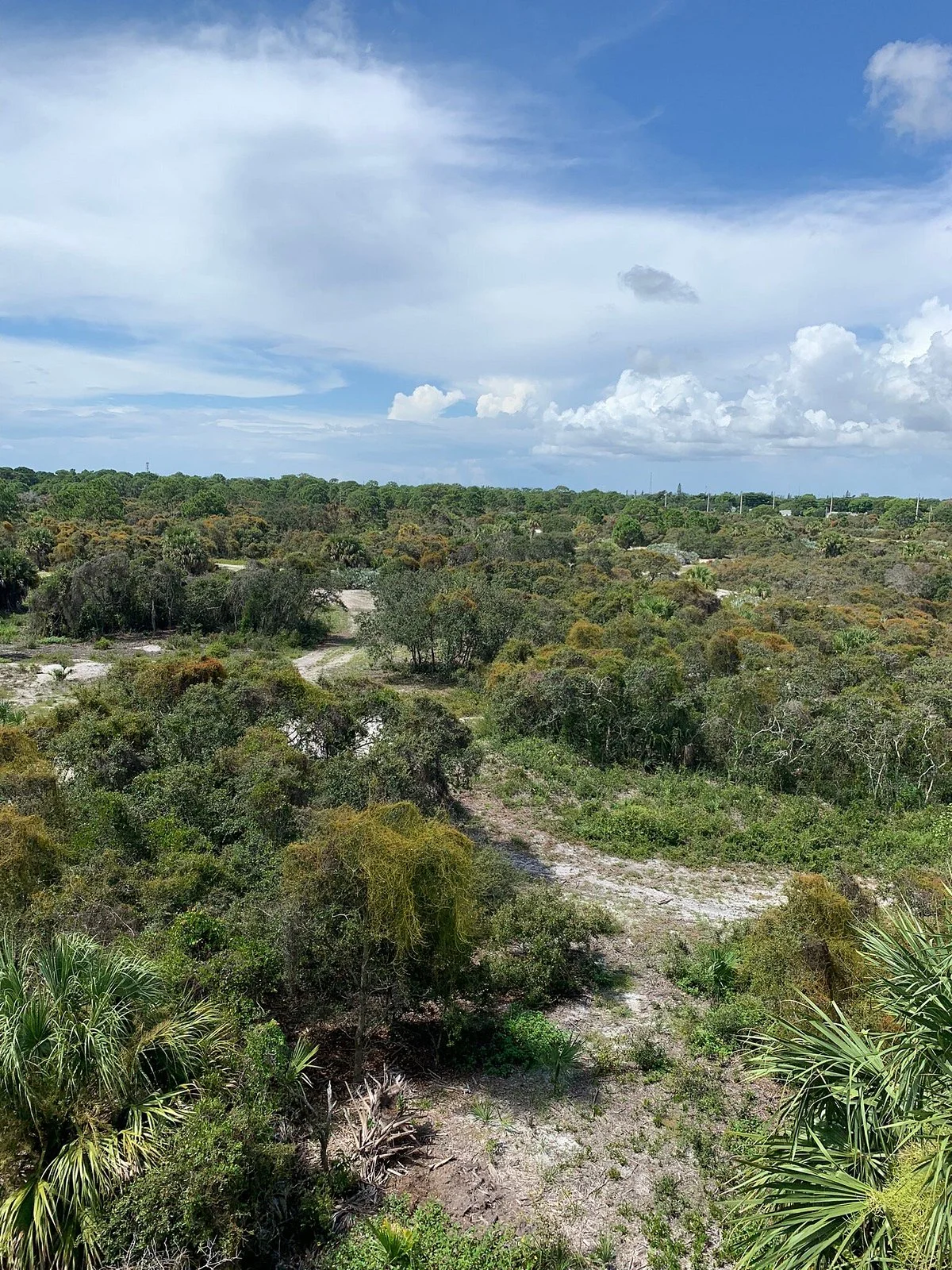 Hypoluxo Scrub Natural Area