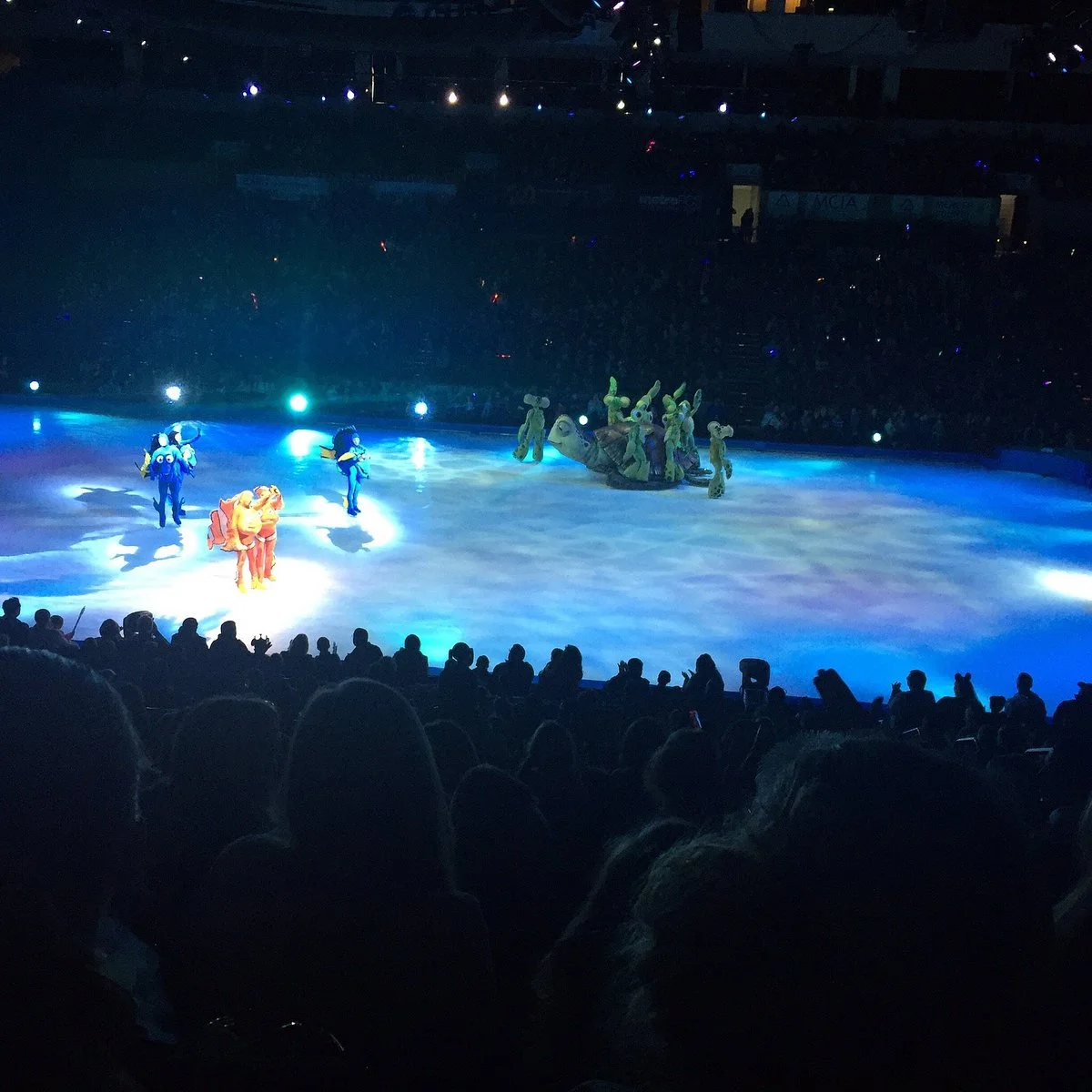 Cure Insurance Arena