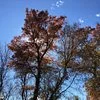 Becker City Park