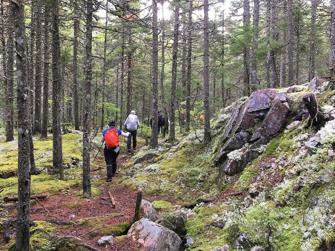 Dobson Trail