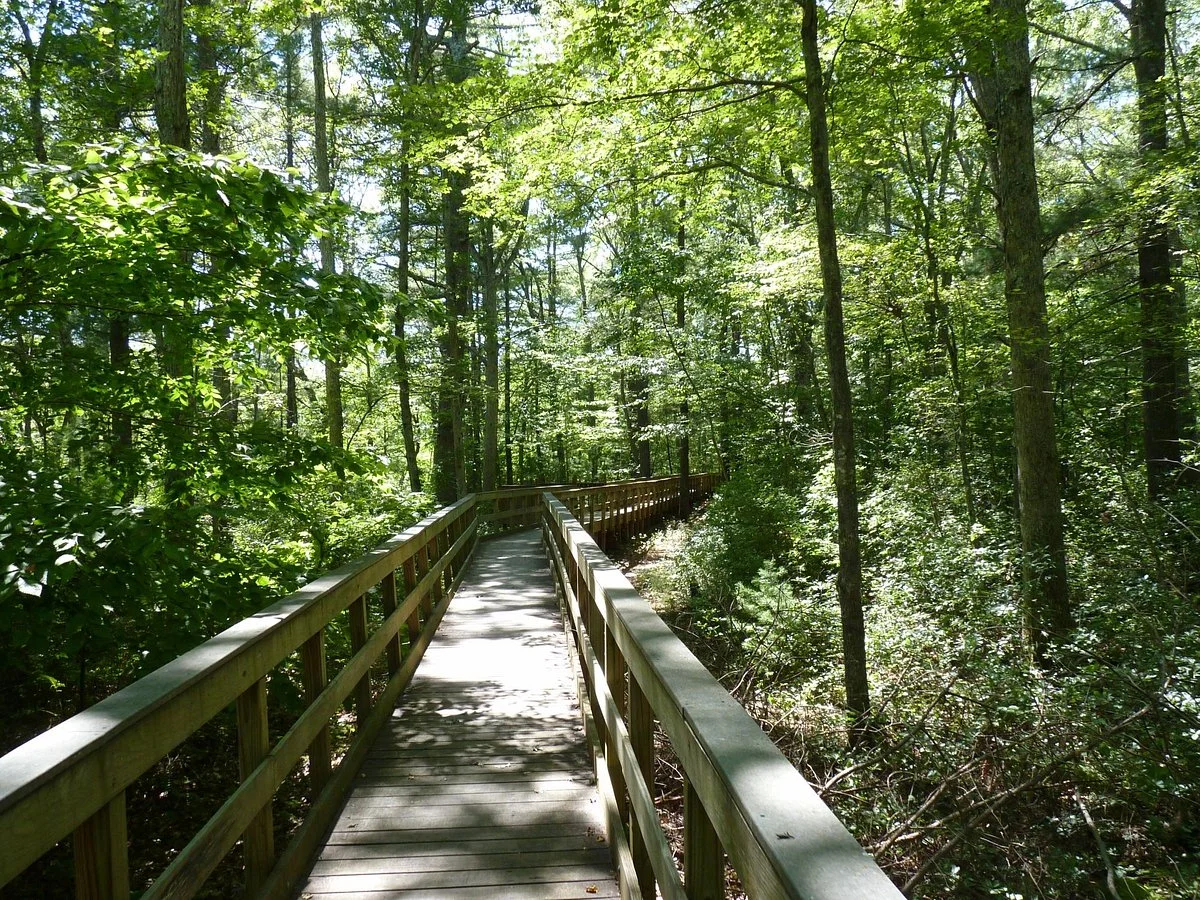 Arcadia Management Area