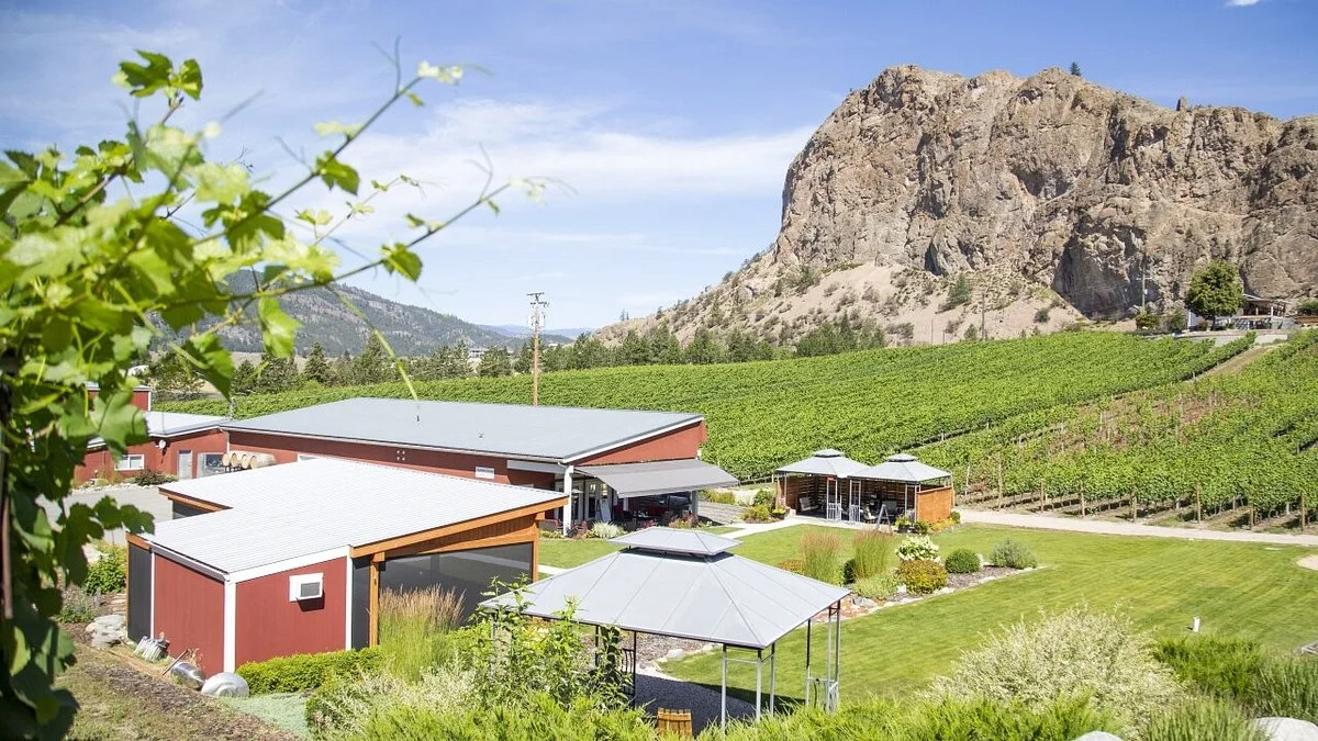 Meyer Family Vineyards