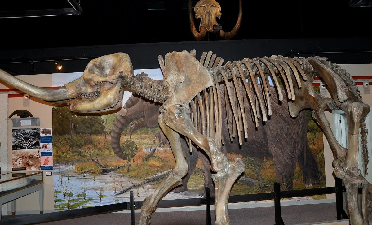 Museum of the Middle Appalachians