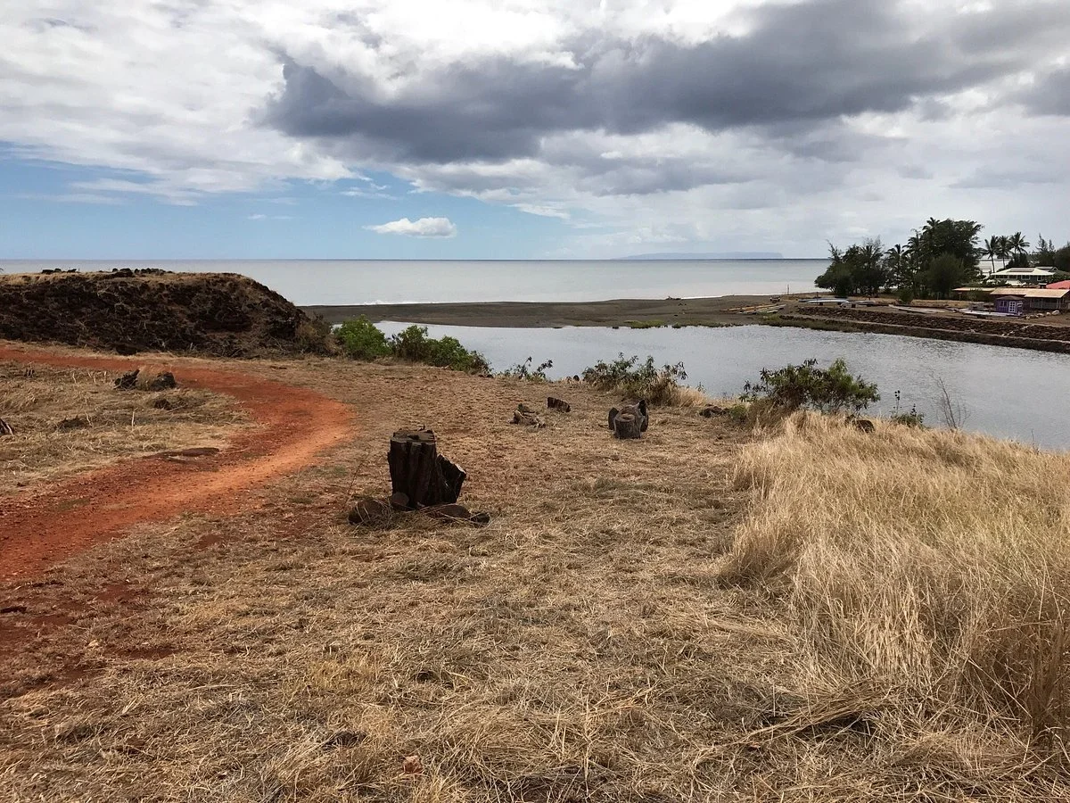 Cook Landing Site