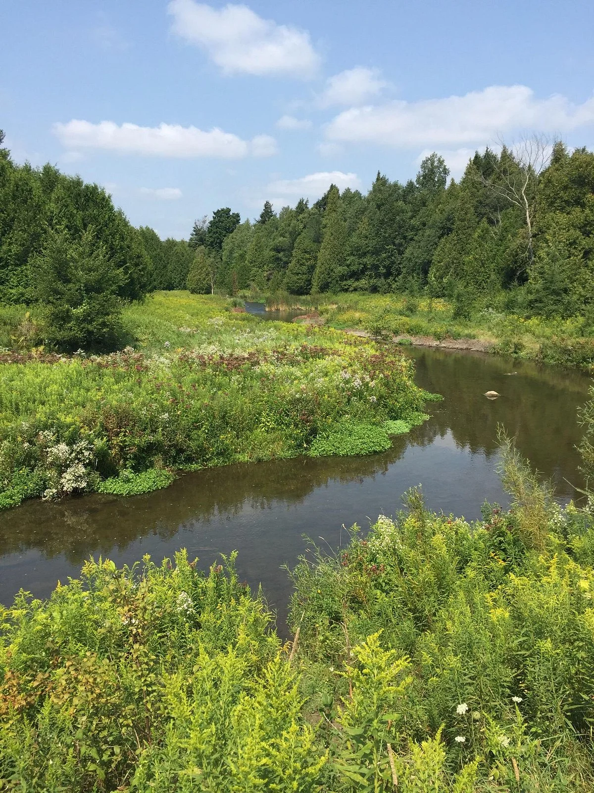 Upper Credit Conservation Area