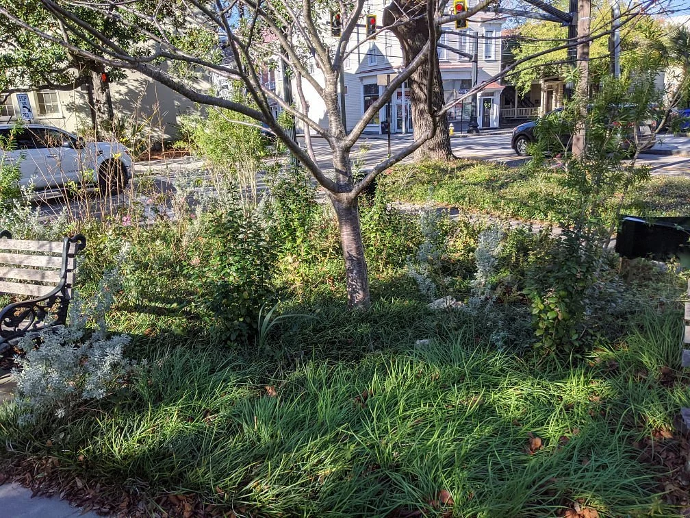 Logan Street Park