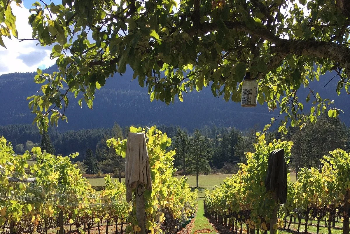 Garry Oaks Estate Winery