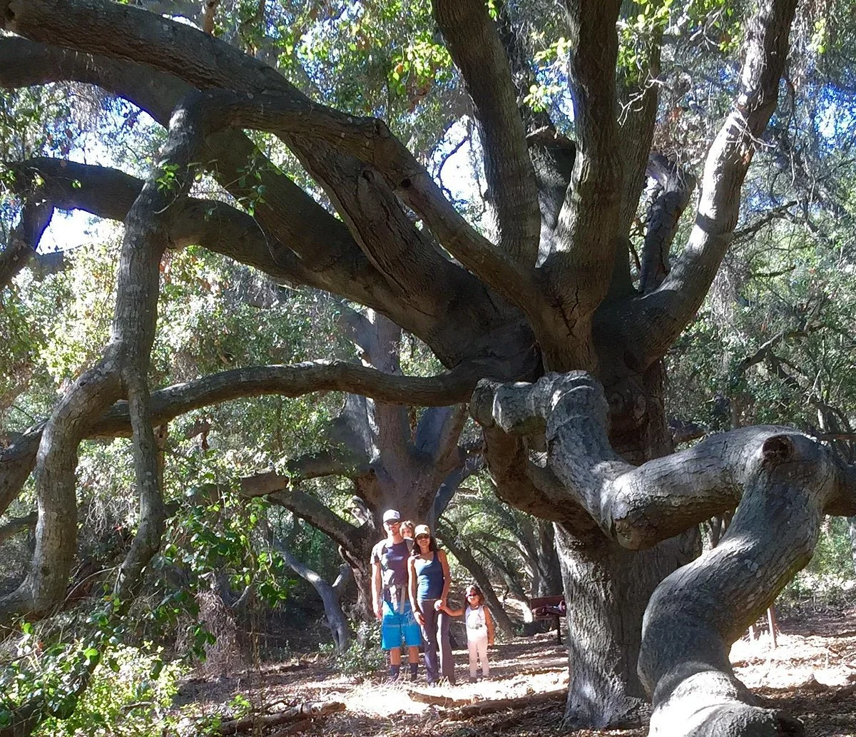 Thomas F. Riley Wilderness Park