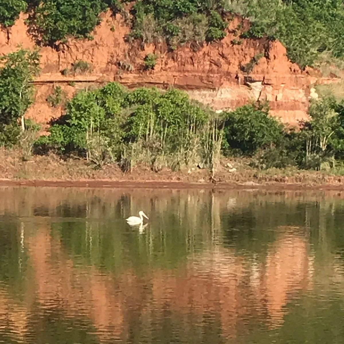 Salt Plains State Park