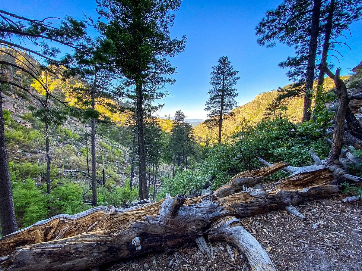 Railroad Tunnel Trail