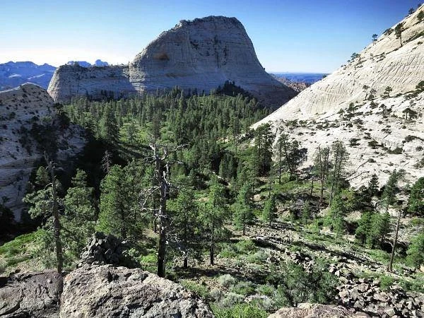 Wildcat Canyon Trail