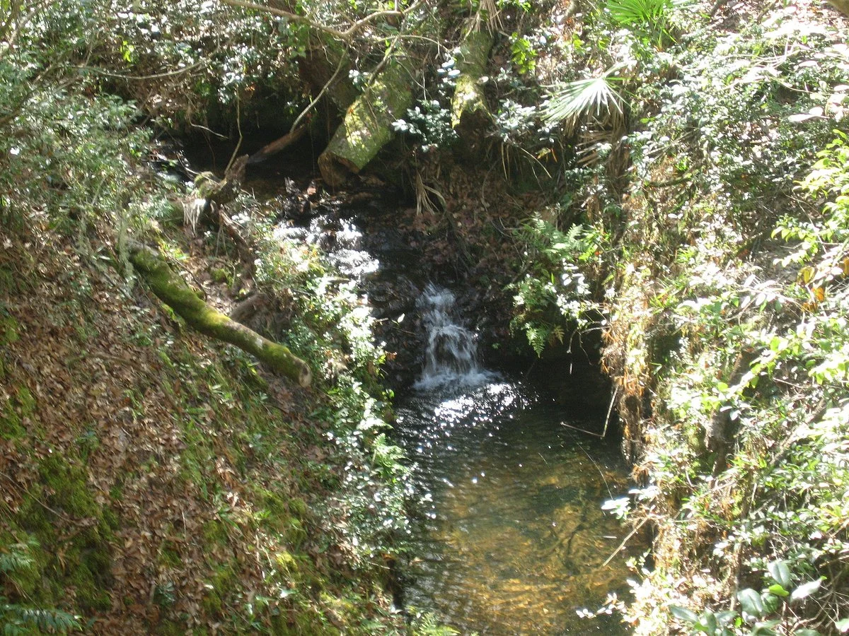 Jennings State Forest