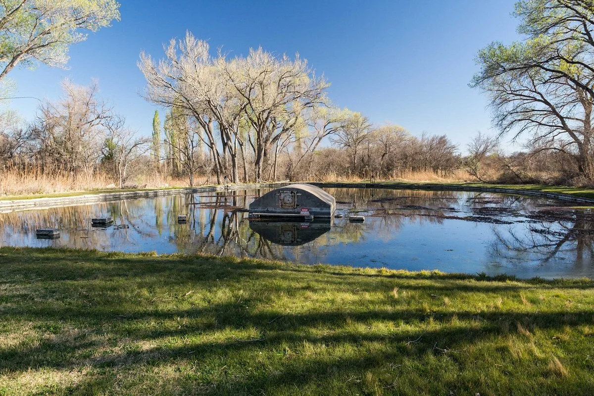 Rattlesnake Springs