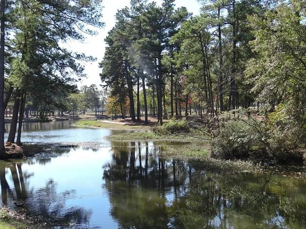 Bobby Ferguson Park