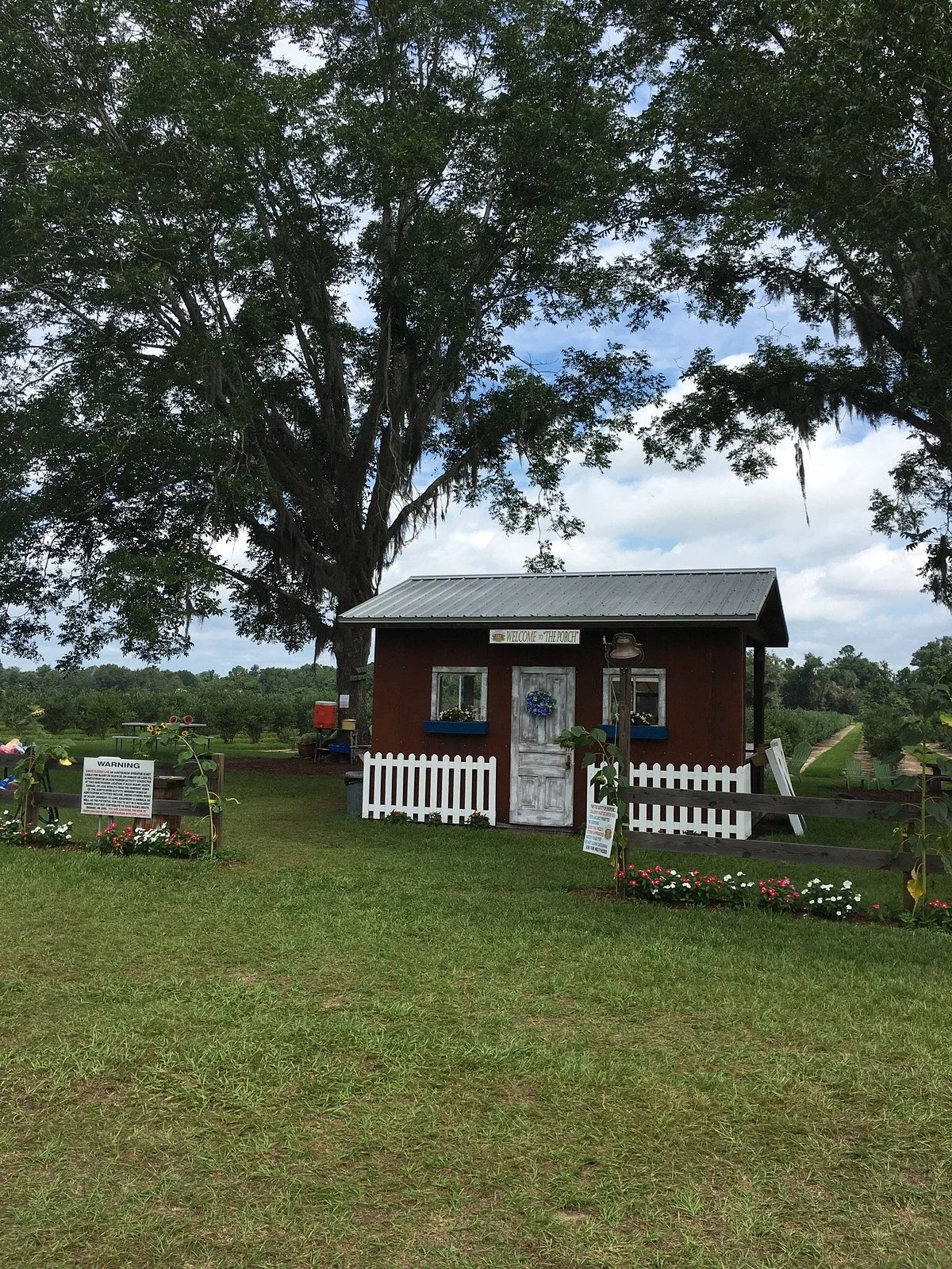 Rooney's Front Porch Farm