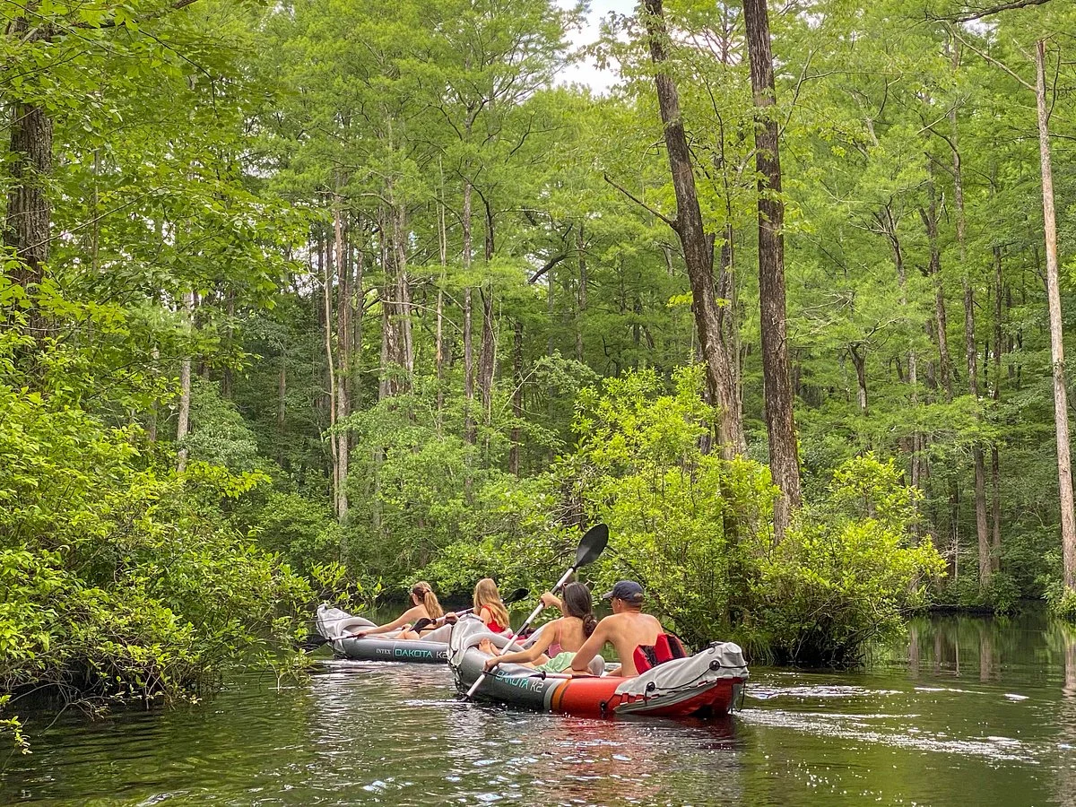 Robertson Millpond Preserve