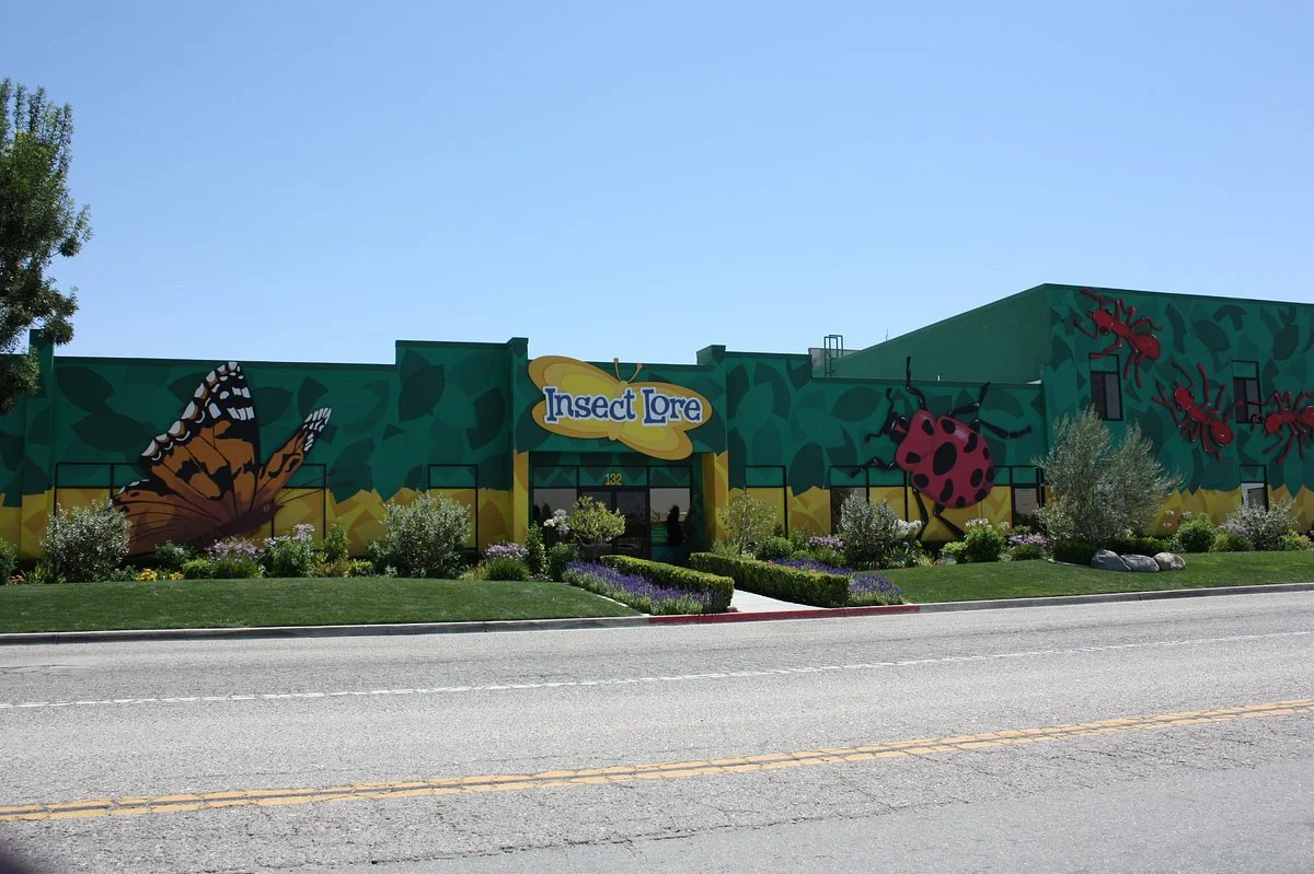 Insect Lore's Bugseum