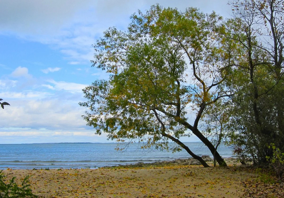 North Pond State Nature Preserve