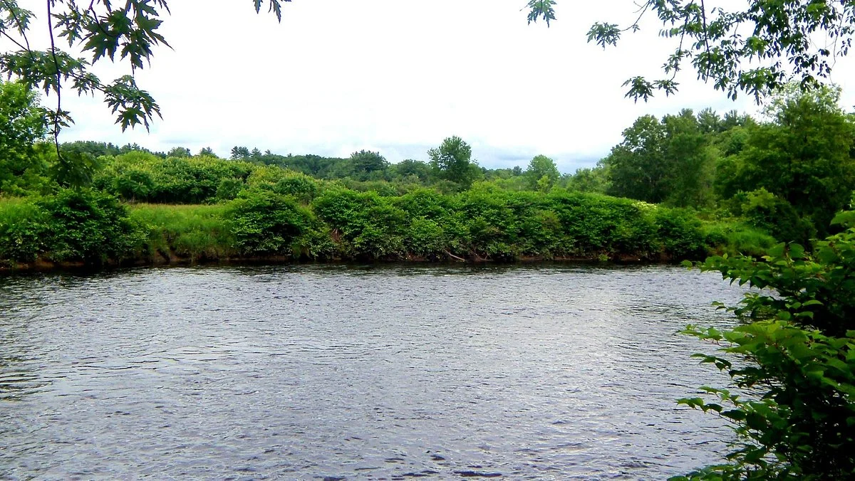 Alan E. Rich Environmental Park