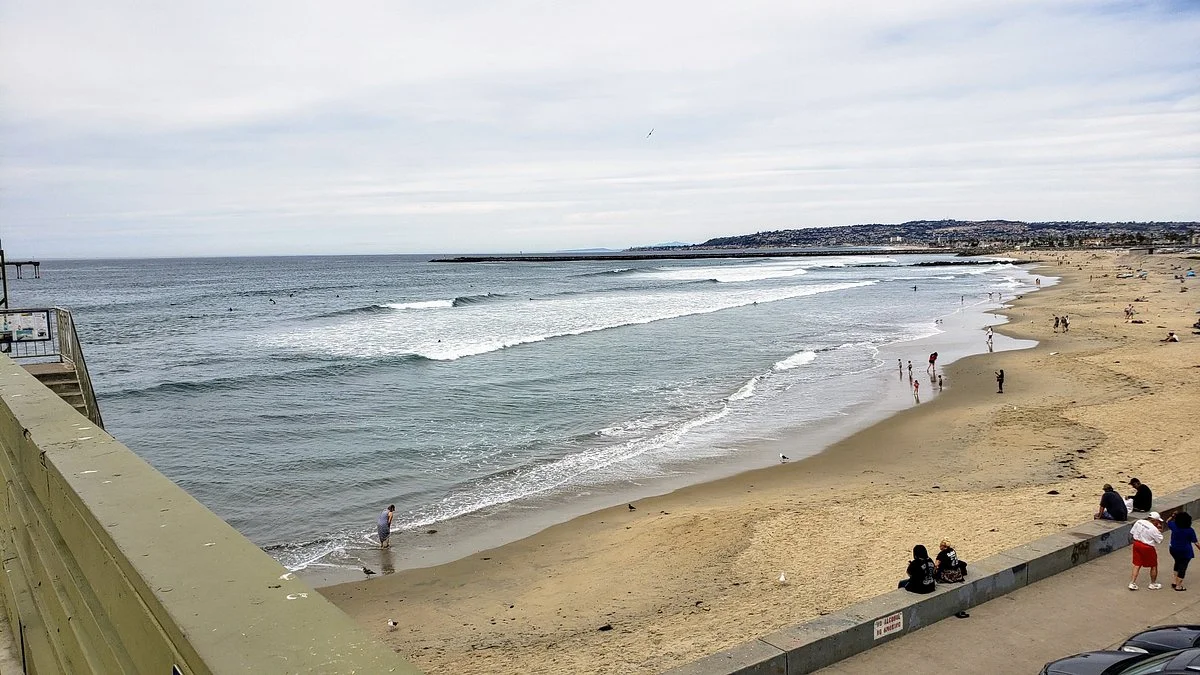 Ocean Dog Beach