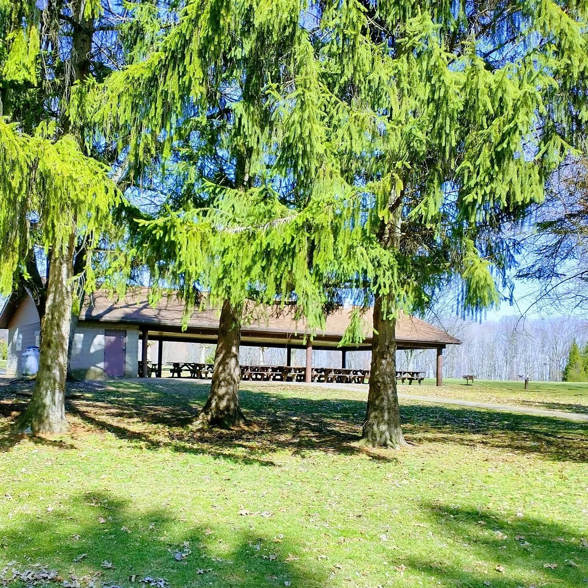 Northmoreland Park