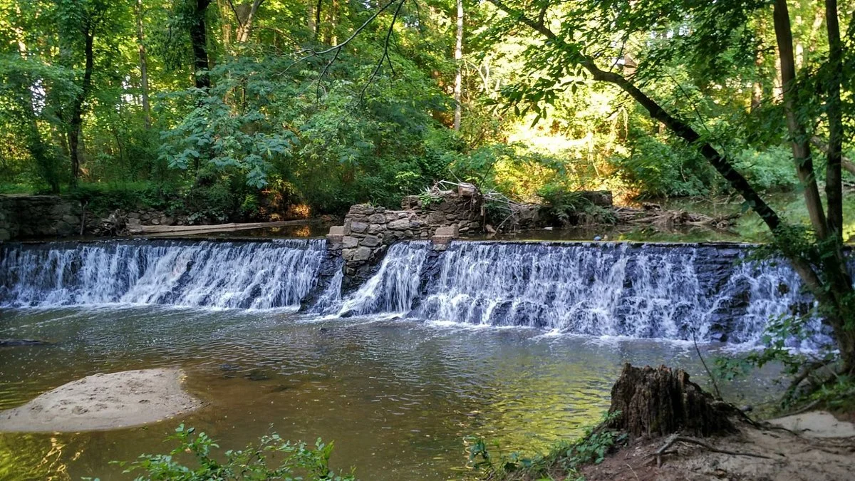 Lullwater Park