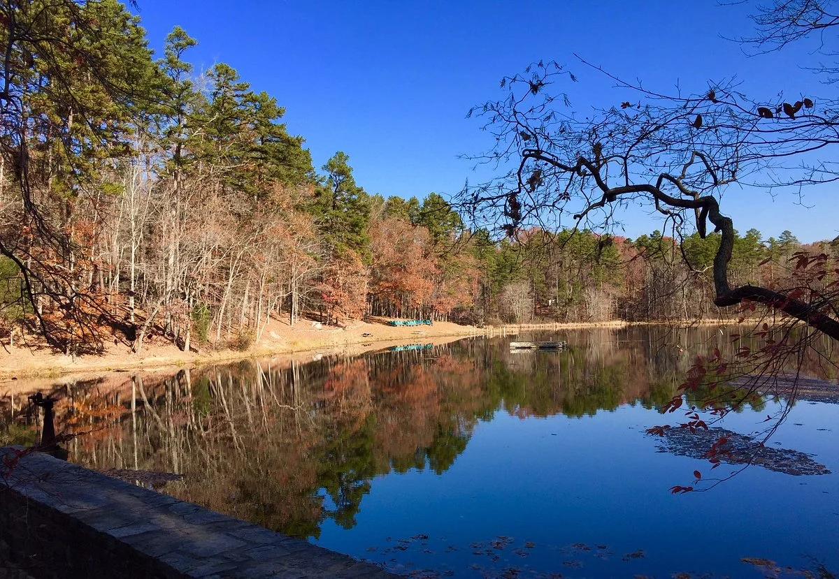 Kings Mountain State Park
