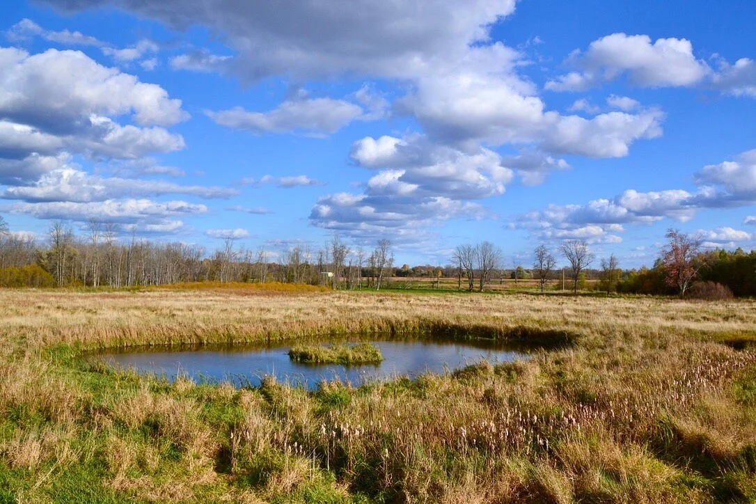 Minesing Wetlands Conservation Area