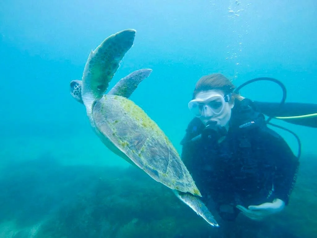 Paraiso Das Tartarugas