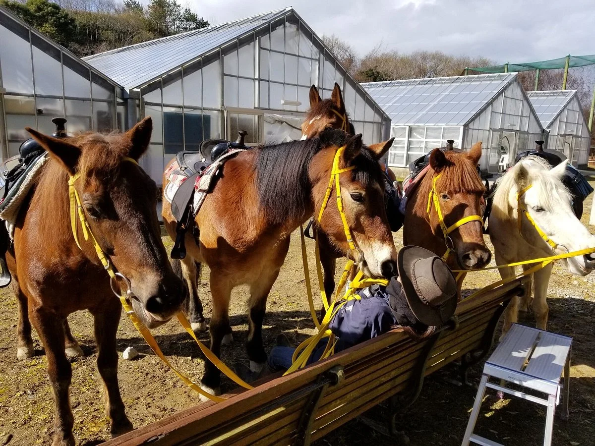 Harmony Farm Awaji