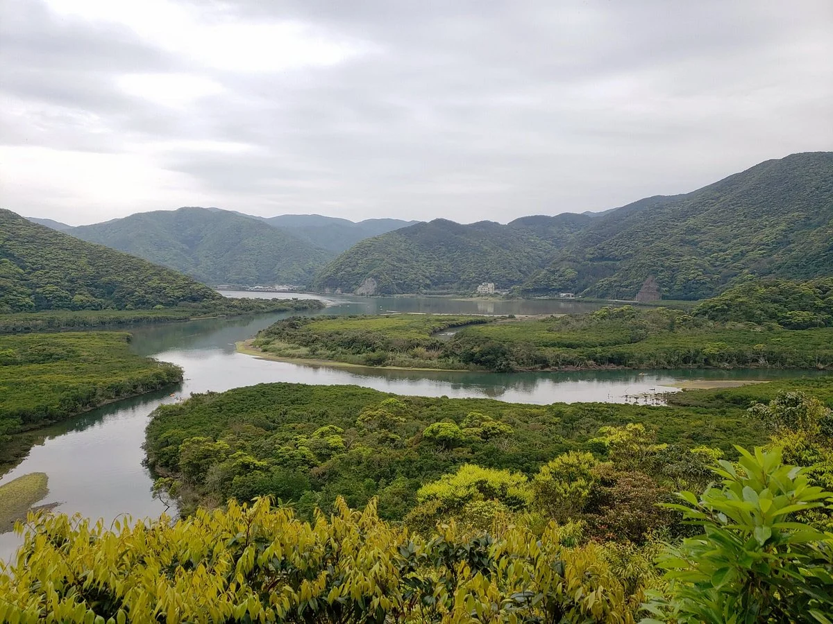 Kuroshio no Mori Mangrove Park