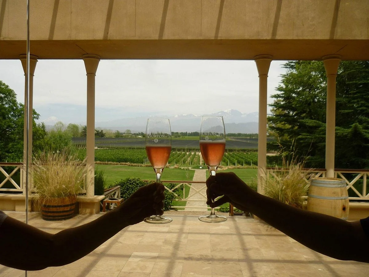 Vendimia Wine Tours