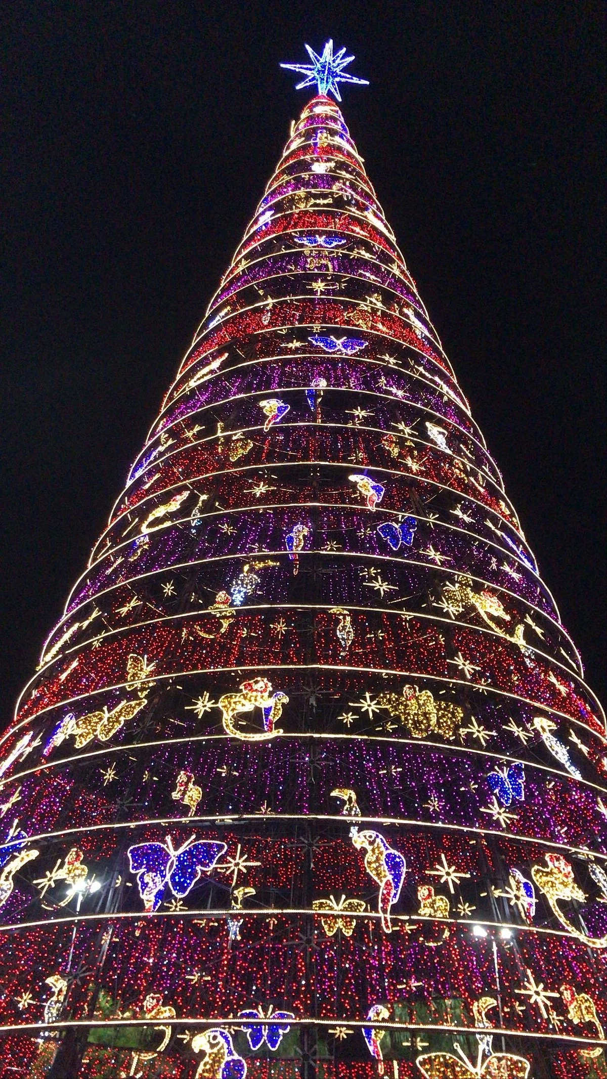 Parque da Cidade