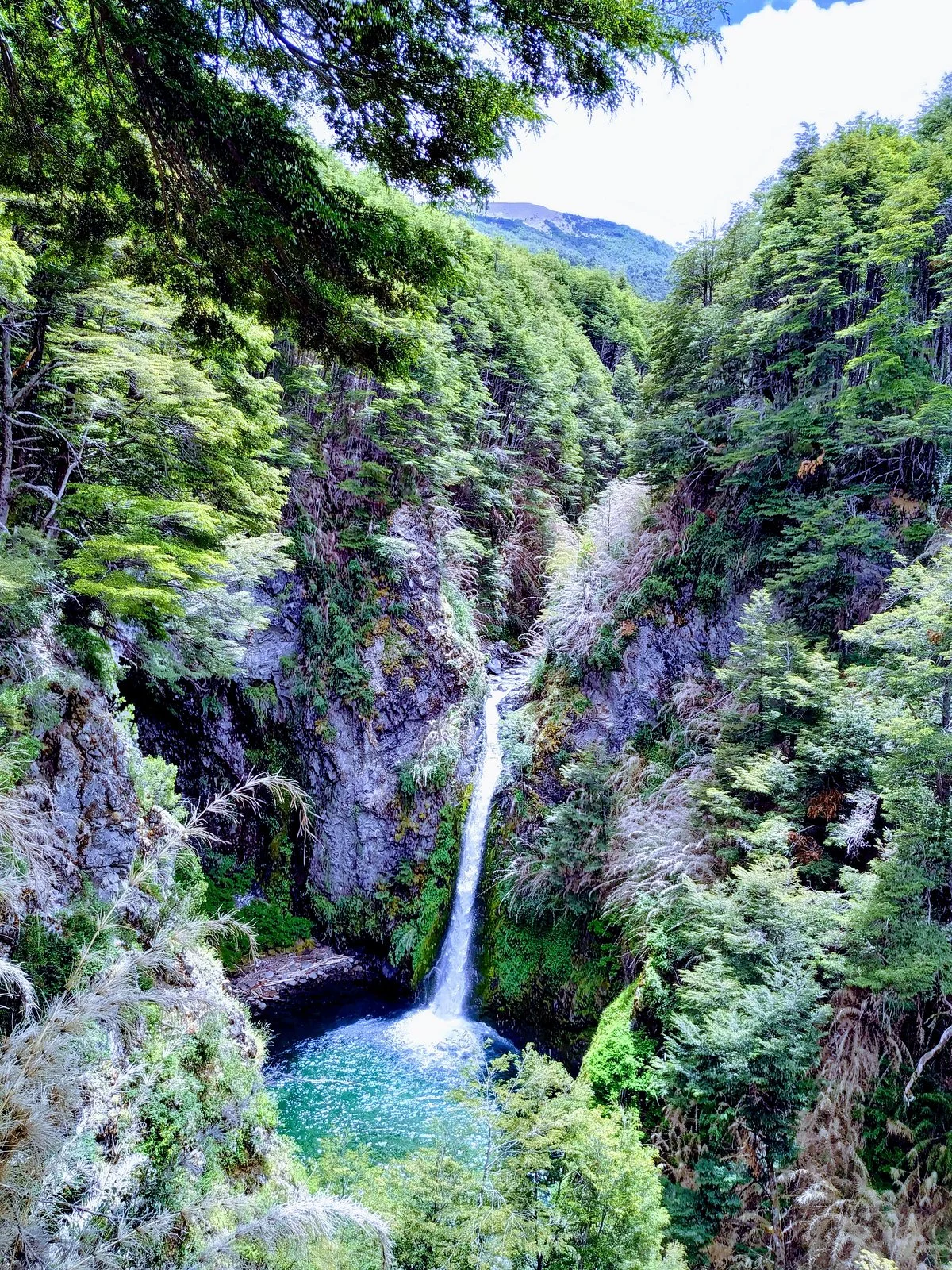 Cascada del Rio Bonito