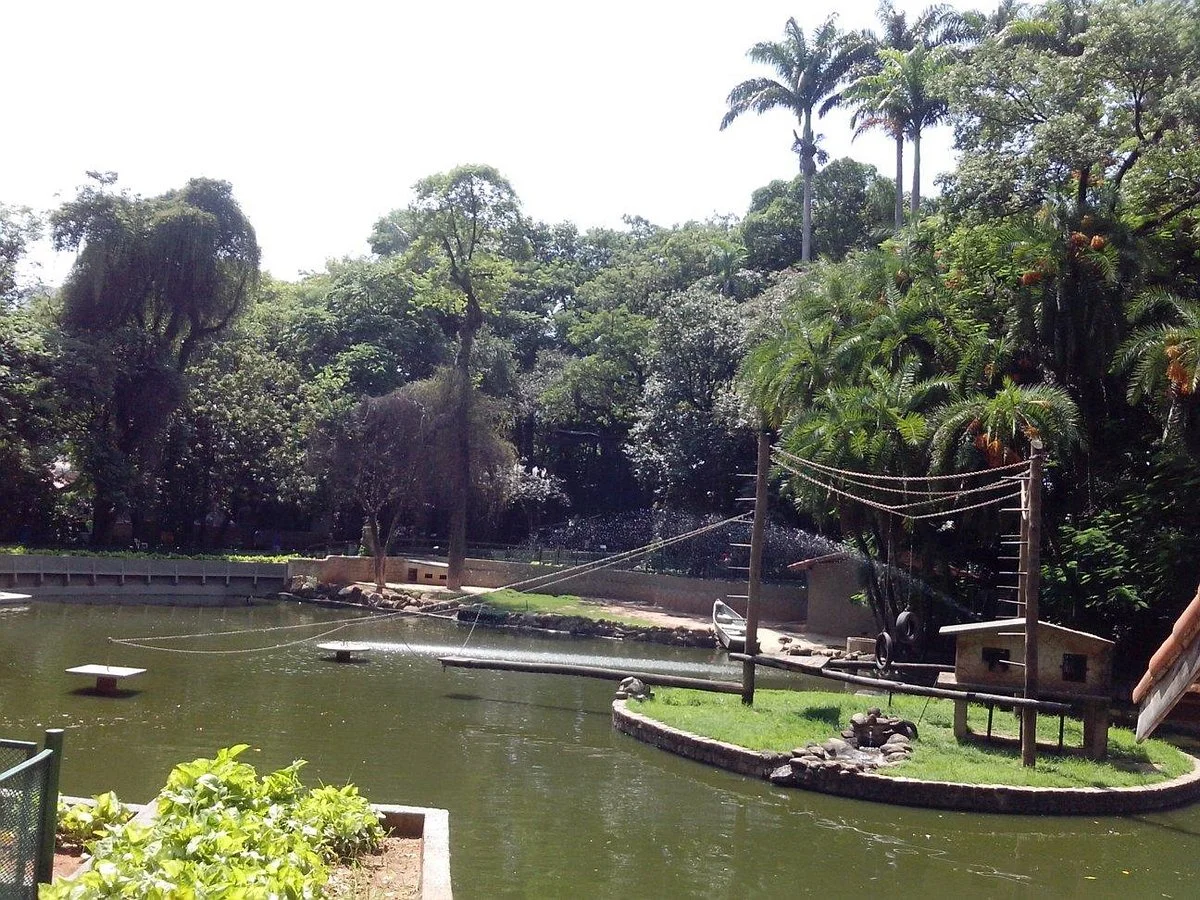 Bosque dos Jequitibas