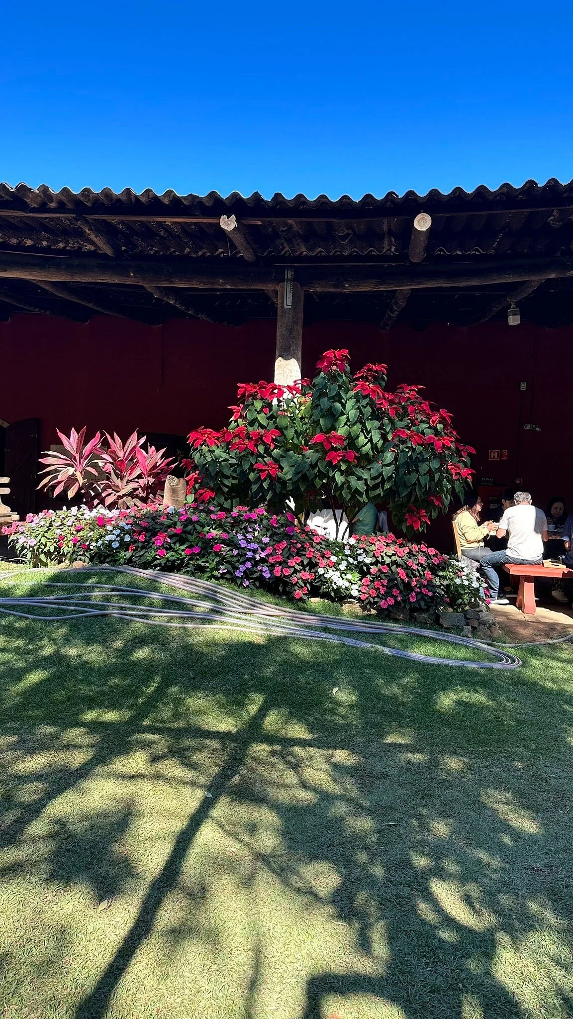 Fazenda Benedetti