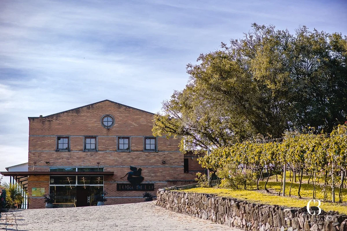 Vinícola Torcello