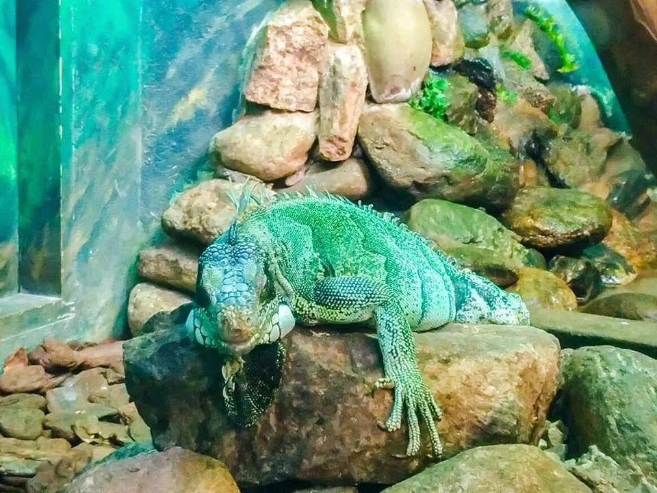 Parque Ecológico A Tribuna