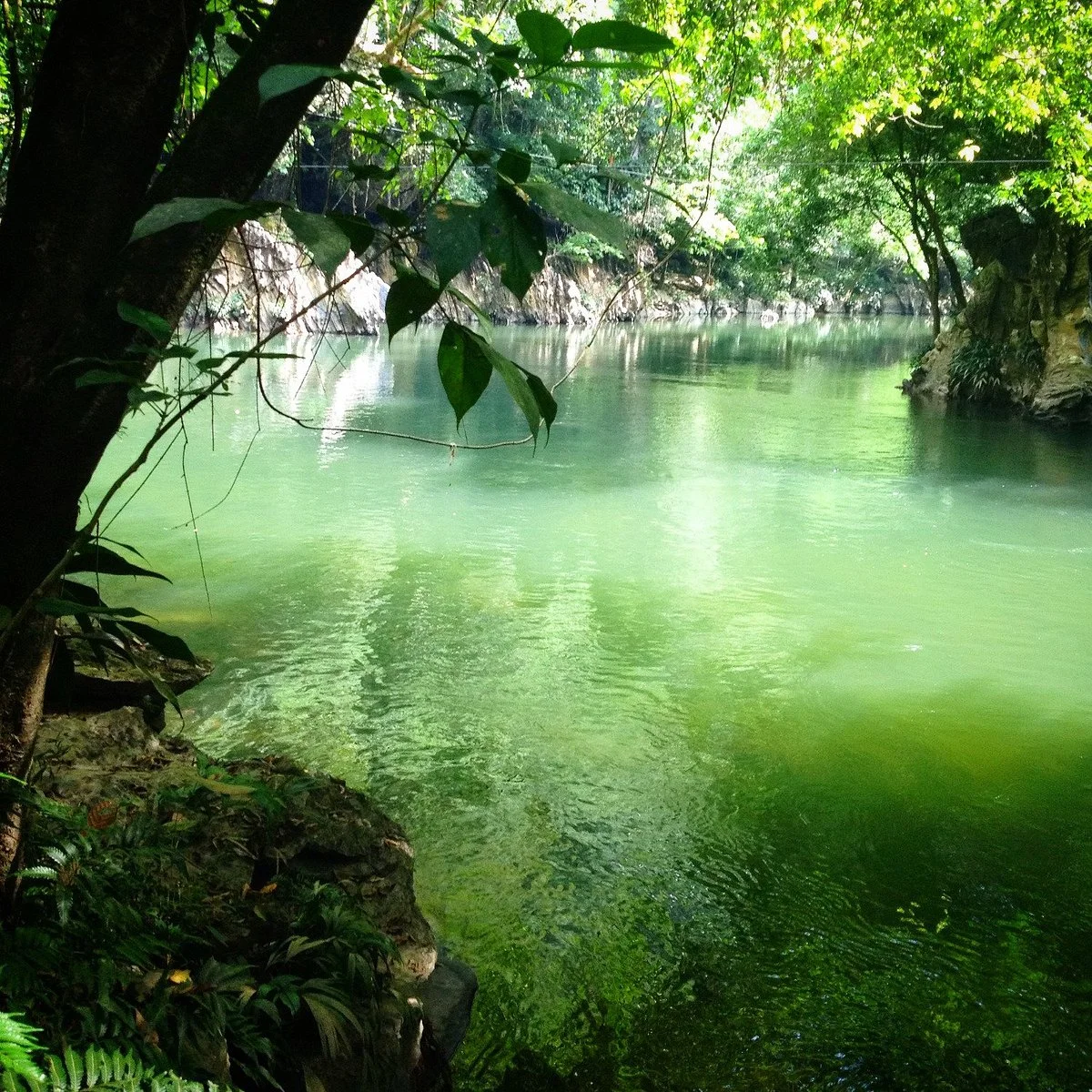Canon del Rio Claro Reserva Natural