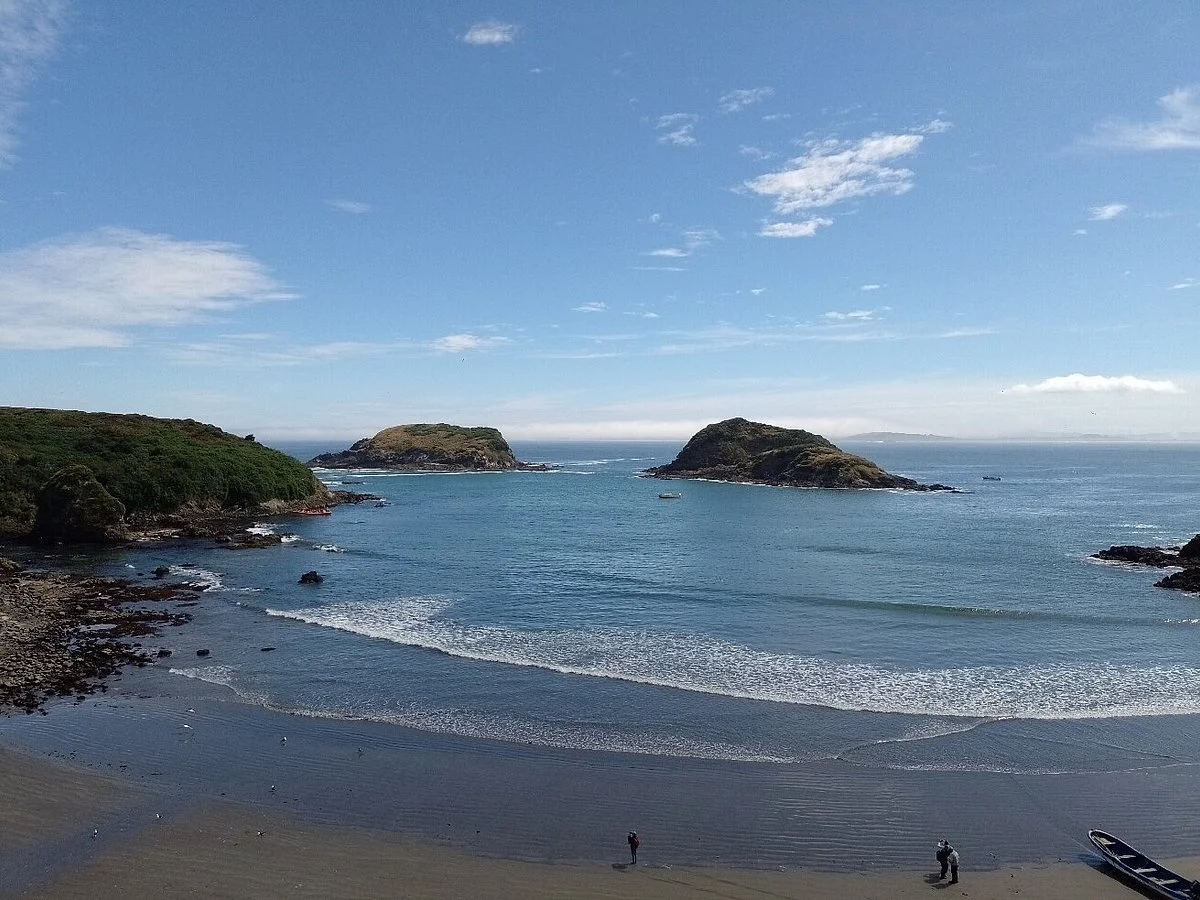 Chiloe Island Penguin Colony