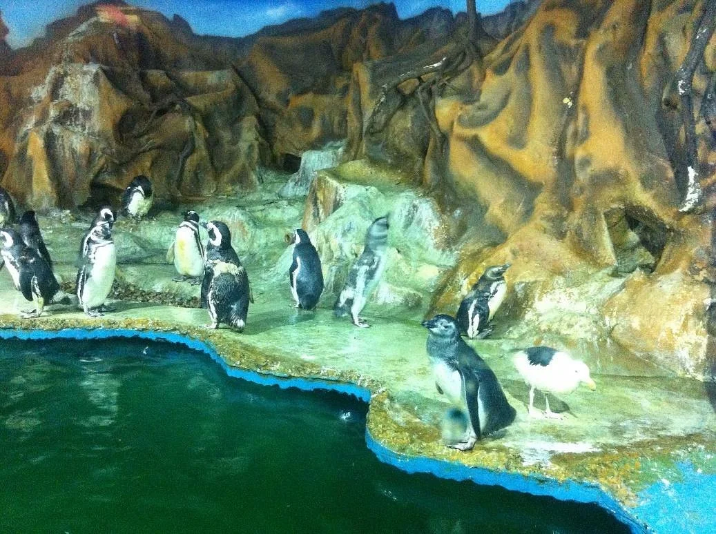 Acqua Mundo