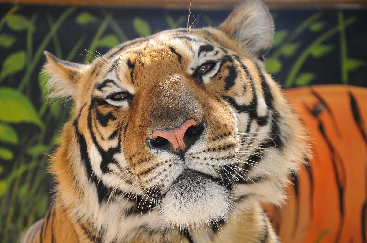 ZOO Lujan