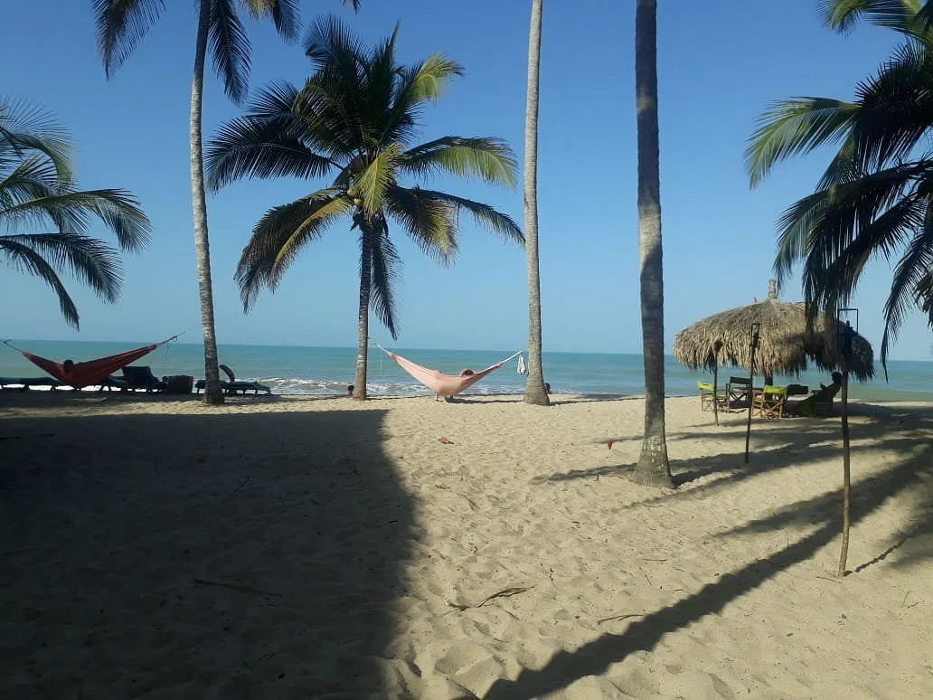Playas de Palomino
