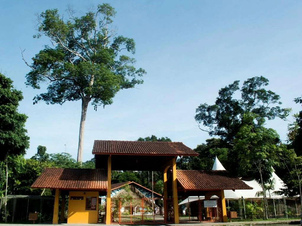 Museu da Amazonia (MUSA)