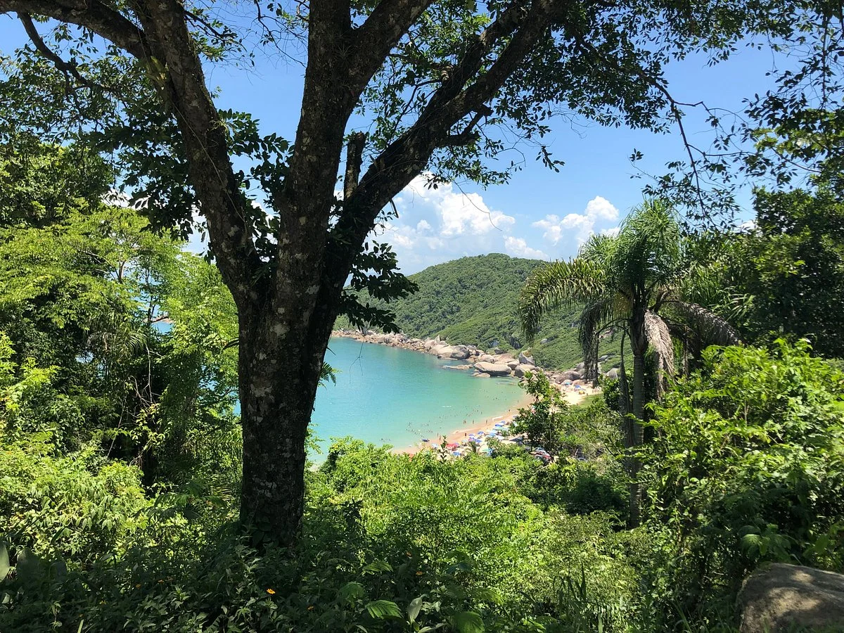 Praia da Tainha