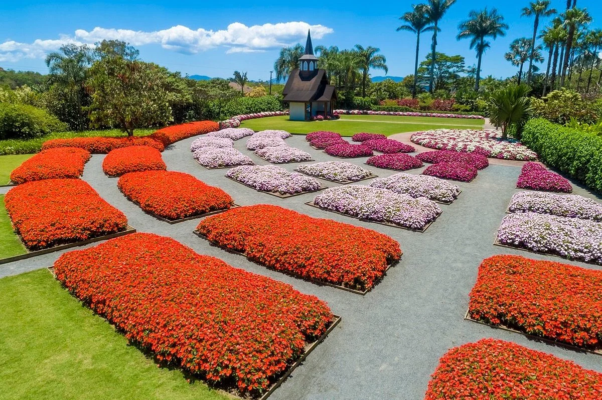 Parque dos Hemerocallis