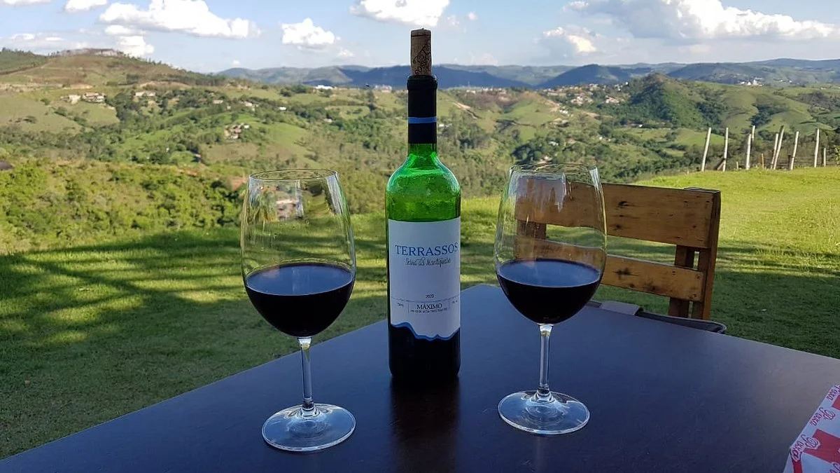 Vinicola Terrassos