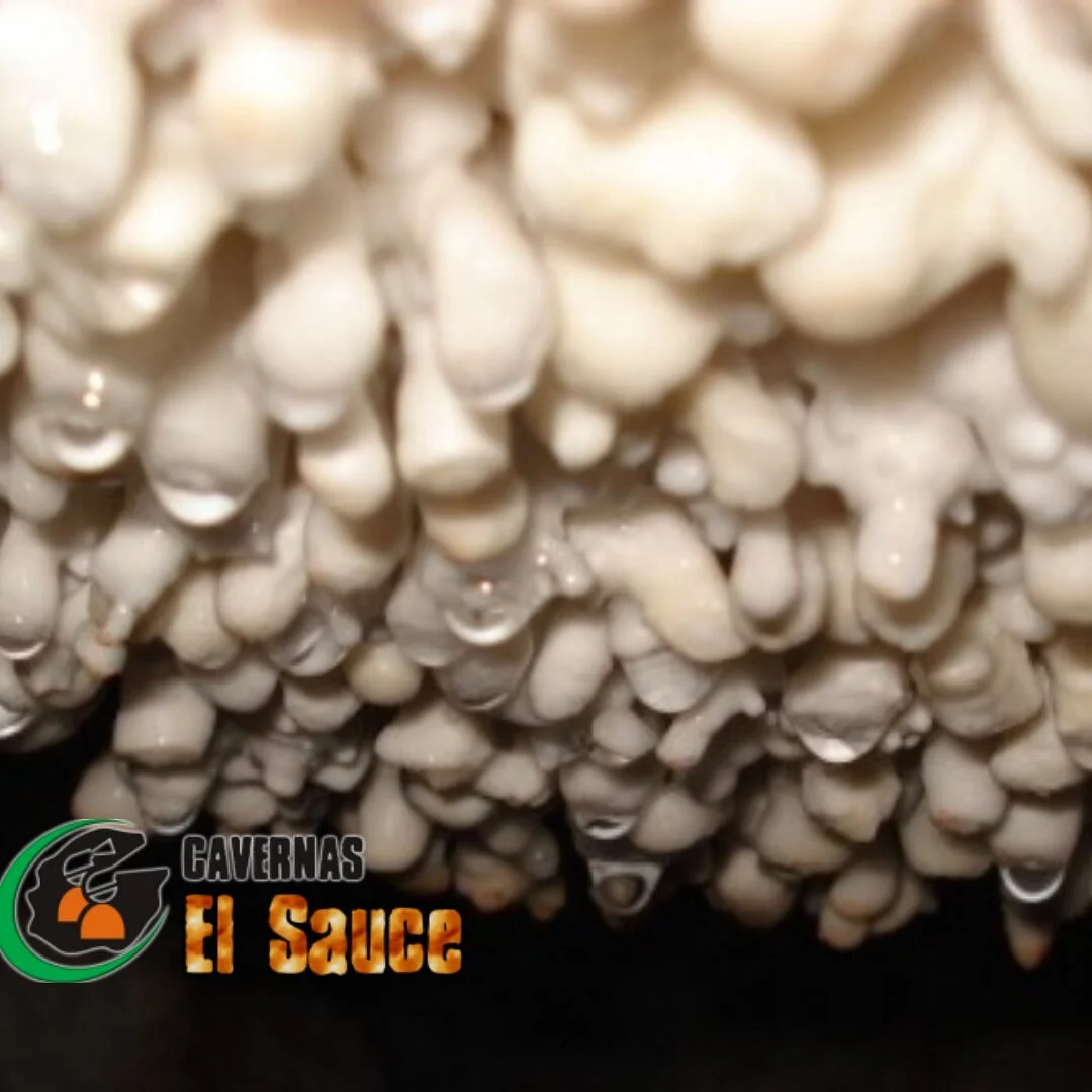 Cavernas El Sauce